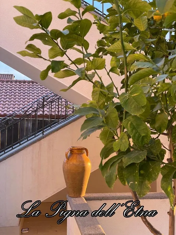 La Pigna Dell'Etna Apartment Nicolosi