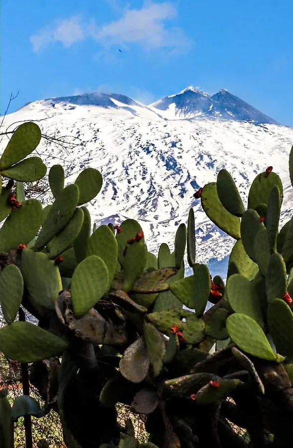 La Pigna Dell'Etna Apartment Nicolosi 0*,  Italy
